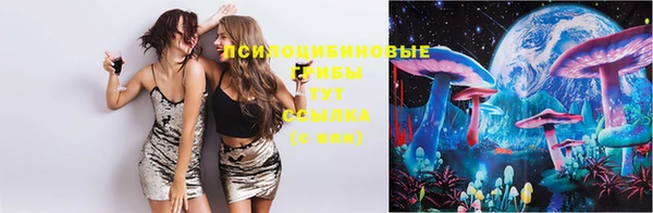 гашик Киреевск