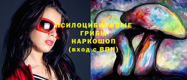 эйфоретик Кинешма