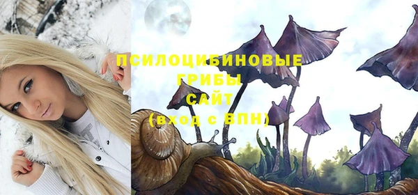 герыч Козловка