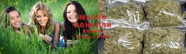 шишки Николаевск-на-Амуре